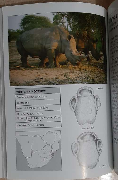 Southern Africa`s Mammals: A field guide. Author: Robin Frandsen